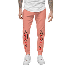 Load image into Gallery viewer, Vision423.com//Unisex Fleece Sweatpants//Black Logo
