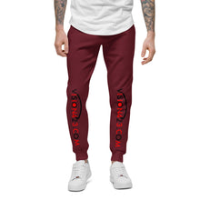 Load image into Gallery viewer, Vision423.com//Unisex Fleece Sweatpants//Black Logo
