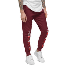 Load image into Gallery viewer, Vision423.com//Unisex Fleece Sweatpants//White Logo
